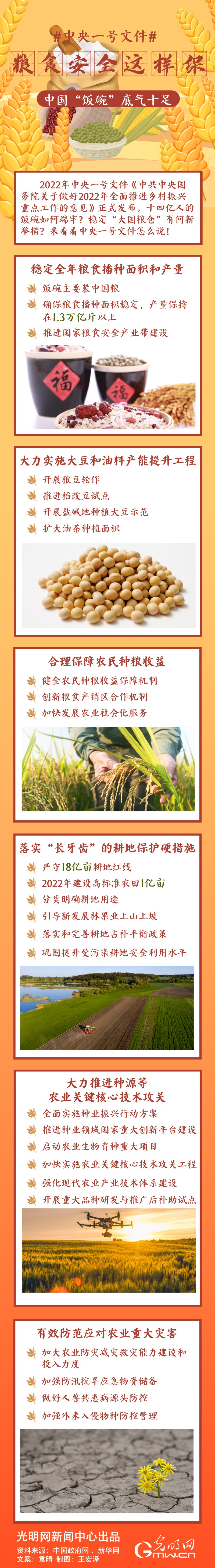 中央一號(hào)文件｜糧食安全這樣保，中國(guó)“飯碗”底氣十足