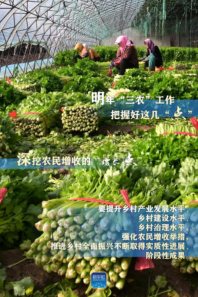 明年“三農(nóng)”工作，這幾個(gè)“點(diǎn)”要把握好