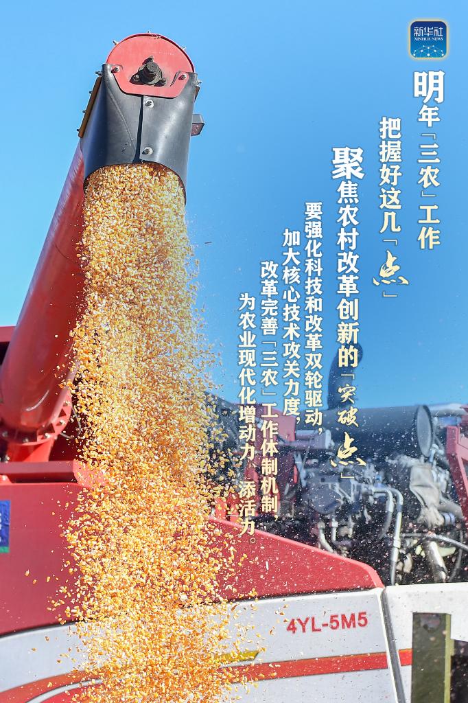 明年“三農(nóng)”工作，這幾個(gè)“點(diǎn)”要把握好