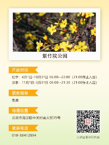 追花指南第二期！京城三月里最撩人的玉蘭觀賞地