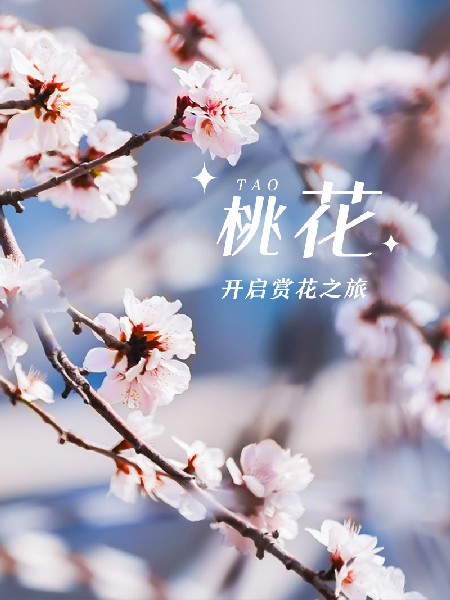 追花指南第三期！別等了 今天就去和桃花撞個(gè)滿懷