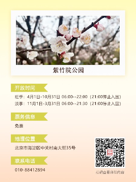 追花指南第六期！杏花雨 楊柳風 北京最美的杏花在這里