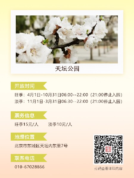 追花指南第六期！杏花雨 楊柳風 北京最美的杏花在這里