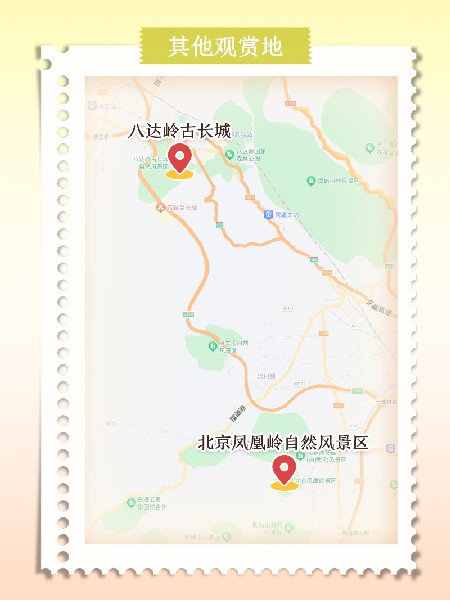 追花指南第六期！杏花雨 楊柳風 北京最美的杏花在這里
