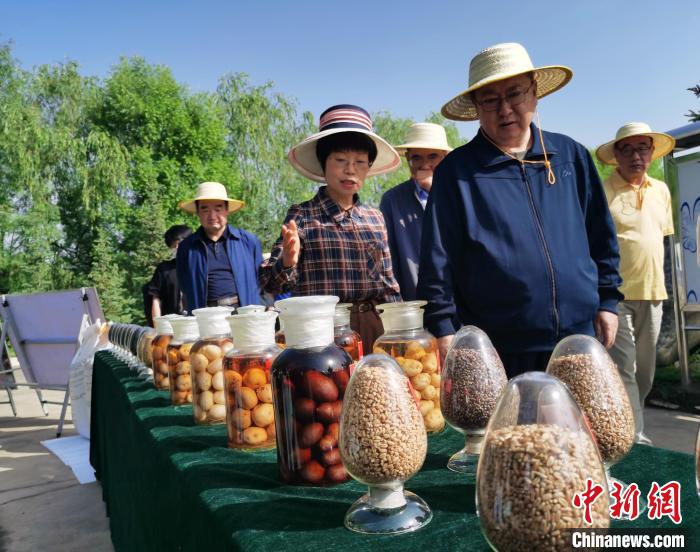 青海：利用冷涼氣候，打造高原綠色種業(yè)輸出地
