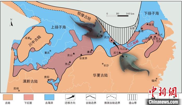 華南地區(qū)志留紀(jì)早期古地理圖和盔甲魚類化石產(chǎn)地(山顯任改自陳旭、戎嘉余，1996；戎嘉余等，2012) 中科院古脊椎所 供圖