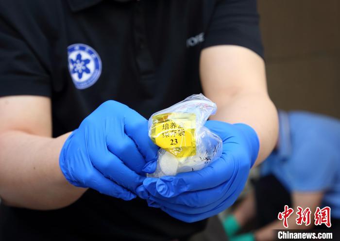 隨神舟十五號返回地面的空間科學(xué)實驗樣品?！≈锌圃嚎臻g應(yīng)用中心 供圖