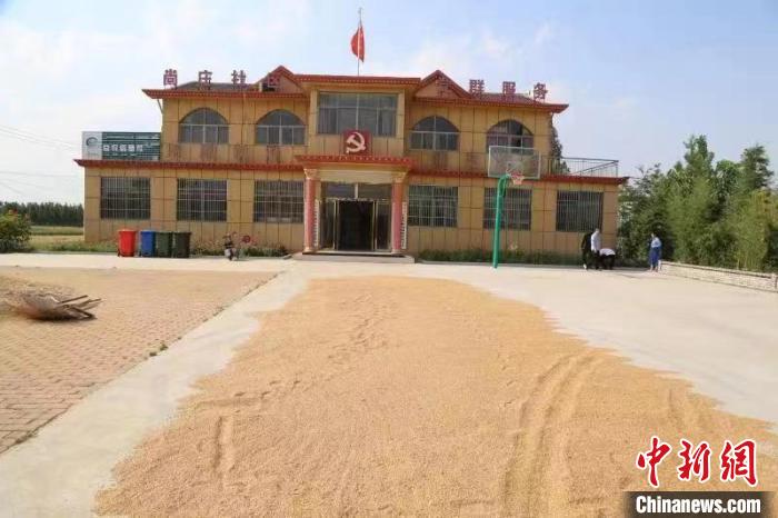 農(nóng)民在邳莊鎮(zhèn)尚莊村黨群服務中心大院里曬糧?！≠Z萌 攝