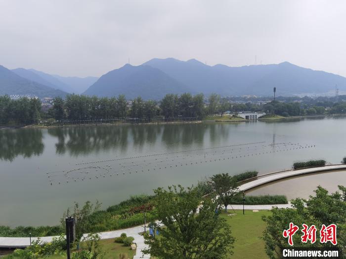 兩岸媒體共探杭州亞運(yùn)會(huì)“綠”在何處？