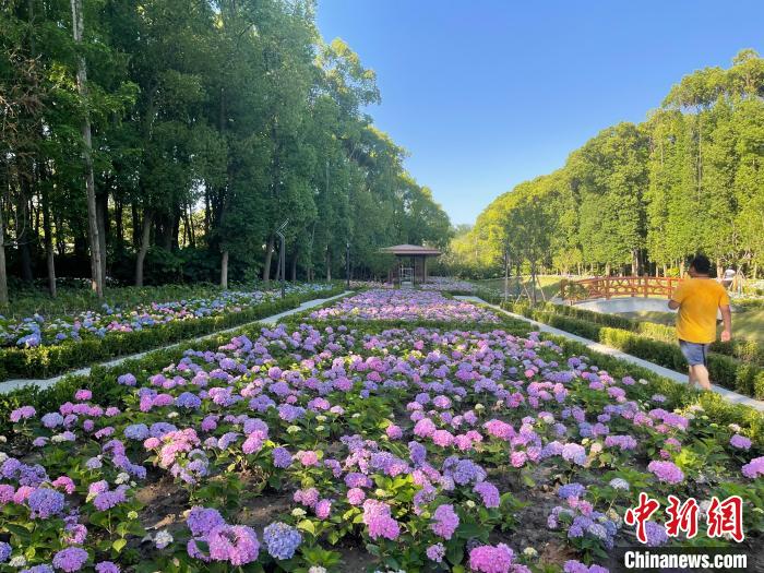 納民意、匯民智上海努力讓“公園城市”建設(shè)真正“合民心”
