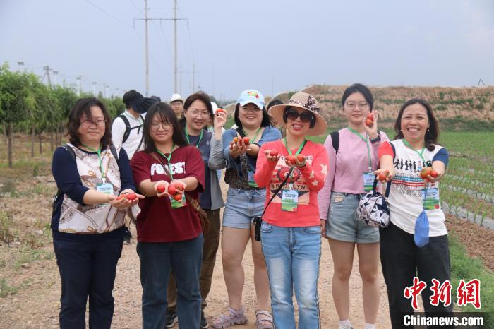 圖為臺胞體驗大美內蒙古?！⊥袐I供圖