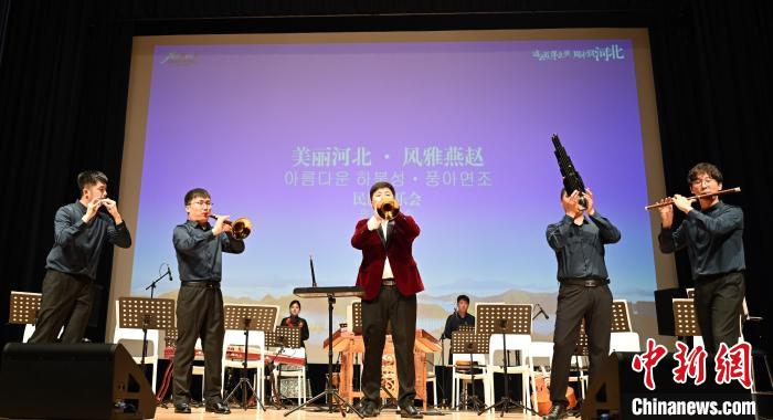圖為音樂會現(xiàn)場?！∈谞栔袊幕行墓﹫D