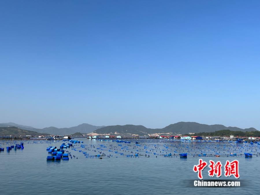霞浦縣海上魚排。<a target='_blank' href='/' ><p  align=