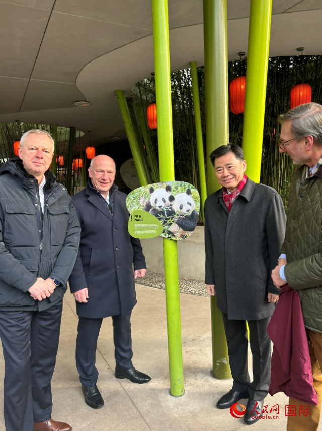 中國駐德國大使吳懇（右二）、柏林市長韋格納（左二）、動物園園長克尼里姆（右一）和監(jiān)事會主席布魯克曼（左一）共同為“夢想”“夢圓”大熊貓紀念牌揭幕。人民網(wǎng)記者 徐馨攝