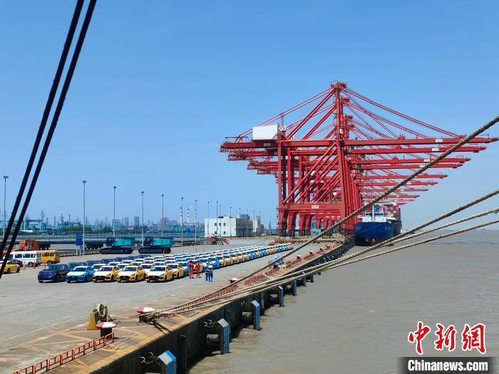 資料圖：國產(chǎn)新能源車在上海外高橋港區(qū)海通碼頭“整裝待發(fā)”?！∑址?攝