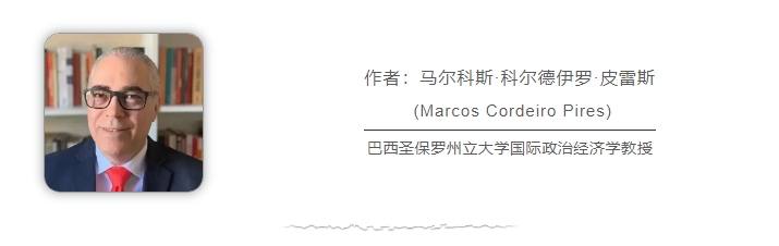 巴西學(xué)者：俄烏、巴以沖突再次暴露美西方“雙標(biāo)”本質(zhì)