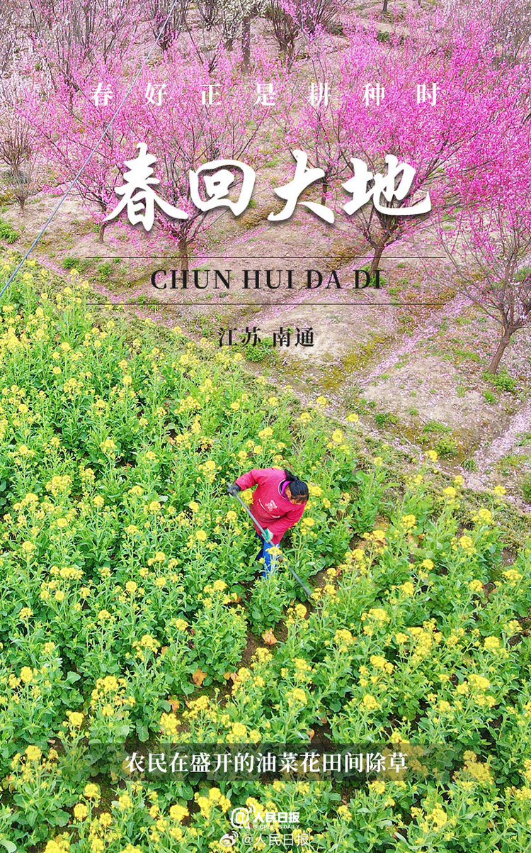 生機(jī)盎然！用課本封面打開(kāi)春耕畫(huà)卷