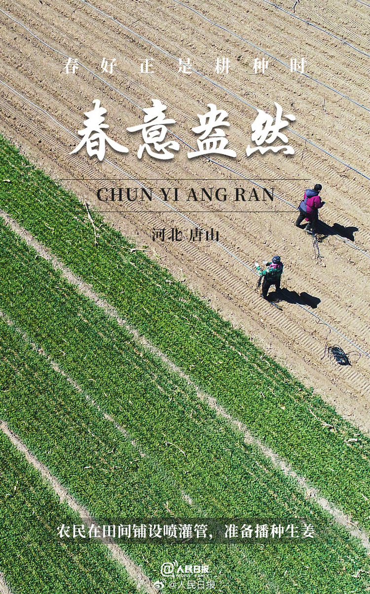 生機(jī)盎然！用課本封面打開(kāi)春耕畫(huà)卷