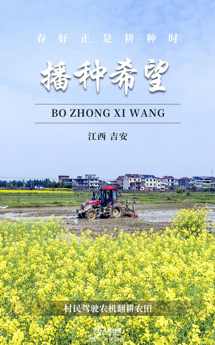 生機(jī)盎然！用課本封面打開(kāi)春耕畫(huà)卷