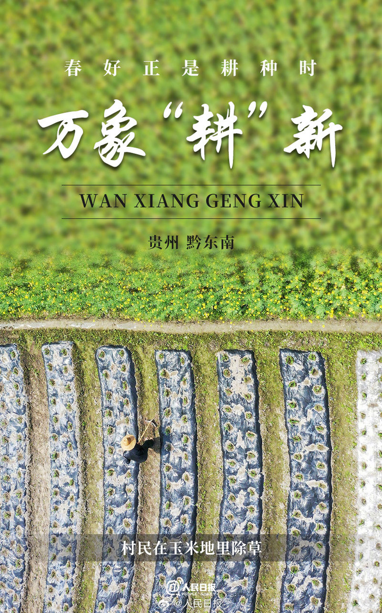 生機(jī)盎然！用課本封面打開(kāi)春耕畫(huà)卷