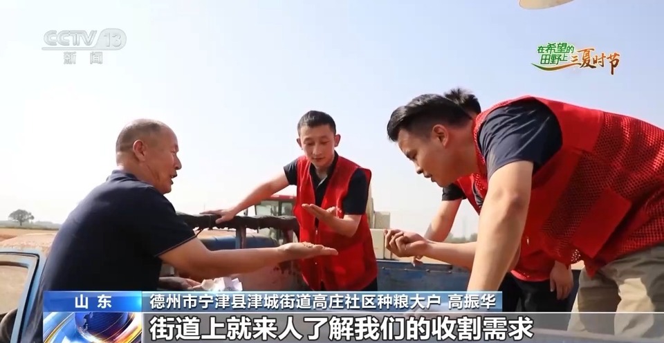“三夏”生產(chǎn)思維導(dǎo)圖安排上了！還有政府大院等你來(lái)“曬”