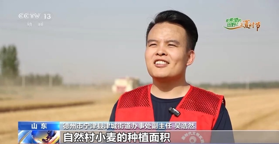 “三夏”生產(chǎn)思維導(dǎo)圖安排上了！還有政府大院等你來(lái)“曬”