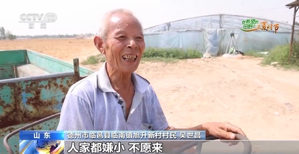 “三夏”生產(chǎn)思維導(dǎo)圖安排上了！還有政府大院等你來(lái)“曬”