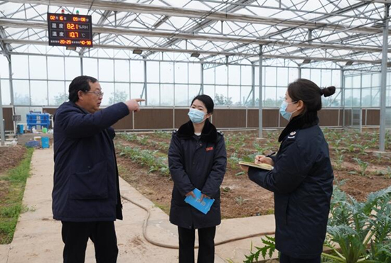 稅務干部走進常德市西洞庭管理區(qū)的朝鮮薊種植基地，宣傳稅費優(yōu)惠政策，助力農(nóng)企搶農(nóng)時、抓春耕、穩(wěn)增長。吳家豪攝