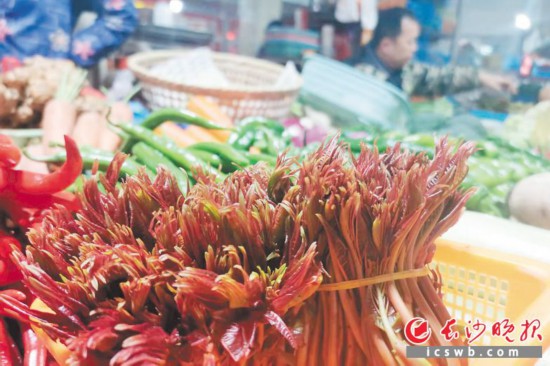 　　農(nóng)貿(mào)市場里鮮嫩的香椿。　　均為長沙晚報(bào)全媒體記者 劉捷萍 攝
