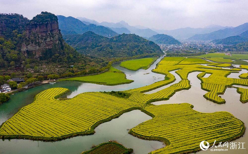 3月28日，航拍浙江省臨海市桃渚鎮(zhèn)桃江十三渚盛開的油菜花景色。人民網(wǎng) 章勇濤攝