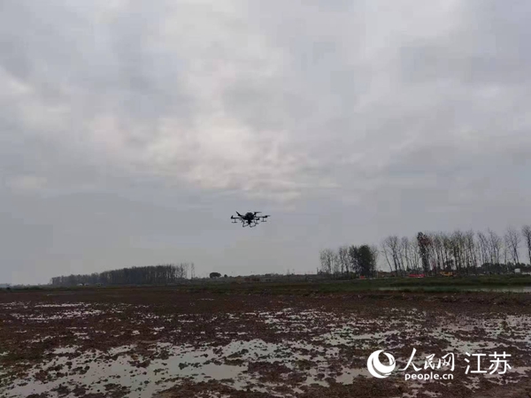 勝利圩高標(biāo)準(zhǔn)農(nóng)田進(jìn)行無(wú)人機(jī)水稻播種。陽(yáng)江鎮(zhèn)供圖