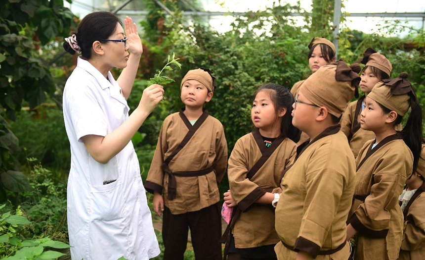 參加活動(dòng)的孩子聆聽(tīng)滄州市人民醫(yī)院國(guó)醫(yī)館中醫(yī)對(duì)中藥材的講解。 傅新春攝