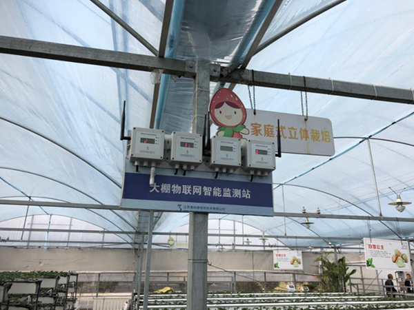 都市四季果園內(nèi)的物聯(lián)網(wǎng)智能監(jiān)測(cè)站系統(tǒng)。東?？h委宣傳部供圖