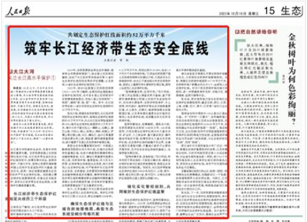 人民日報。截圖
