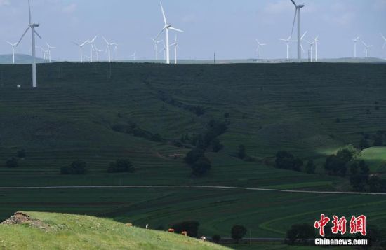 6月28日，河北張家口張北草原上大片風(fēng)力發(fā)電的“風(fēng)車”規(guī)模宏大。 中新社記者 楊艷敏 攝