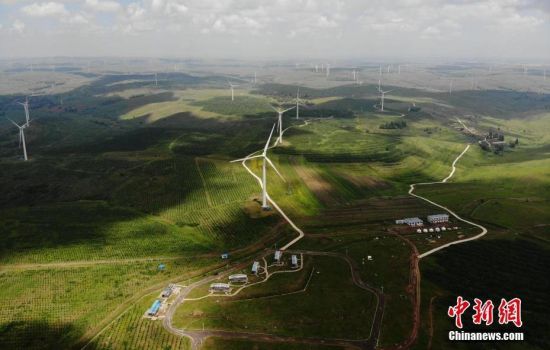 6月28日，河北張家口張北草原上大片風(fēng)力發(fā)電的“風(fēng)車”規(guī)模宏大。 中新社記者 楊艷敏 攝