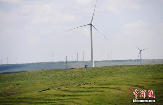 6月28日，河北張家口張北草原上大片風(fēng)力發(fā)電的“風(fēng)車”規(guī)模宏大。 中新社記者 楊艷敏 攝