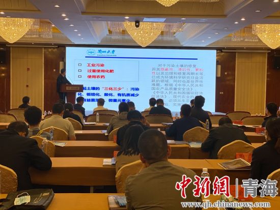 圖為論壇現(xiàn)場。李江寧攝
