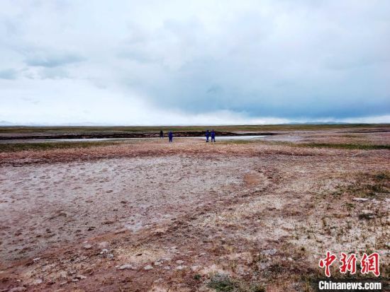 圖為救援力量在青海省西部搜救失聯(lián)的江蘇南京某大學女生黃某某。海西州藍天應(yīng)急救援中心 供圖