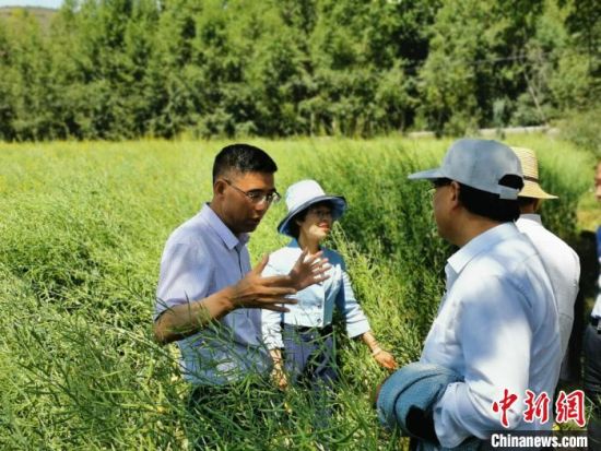 圖為九三學社青海省委主委杜德志(左一)在基層調研。受訪者供圖