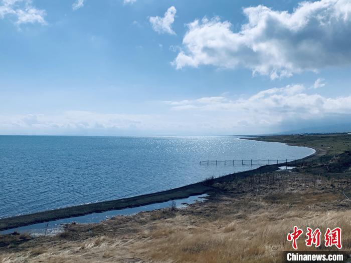 圖為青海湖畔。(資料圖) 張傲 攝
