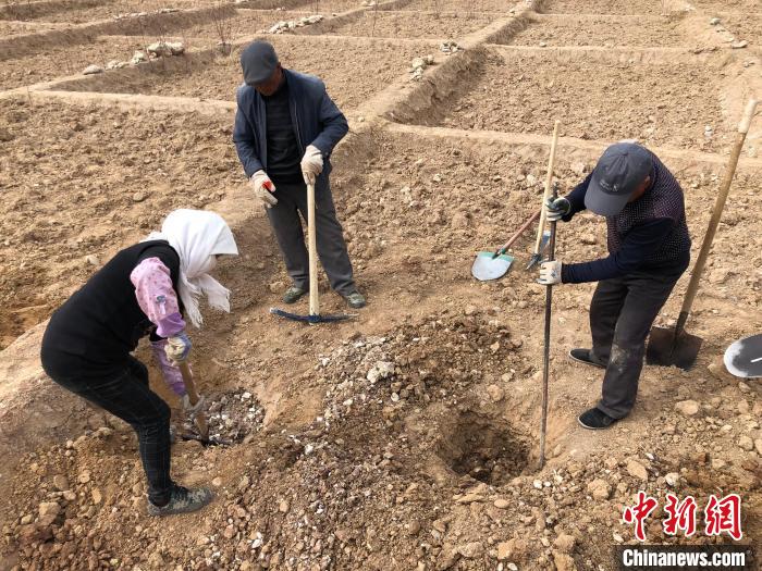 資料圖為建行青海省分行綠化區(qū)施工隊(duì)隊(duì)員處理亂石。　建行青海省分行供圖