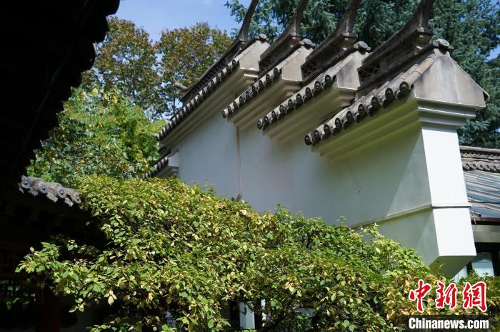 圖為西寧園林植物園內(nèi)的蘇式風(fēng)格建筑。　馬銘言 攝