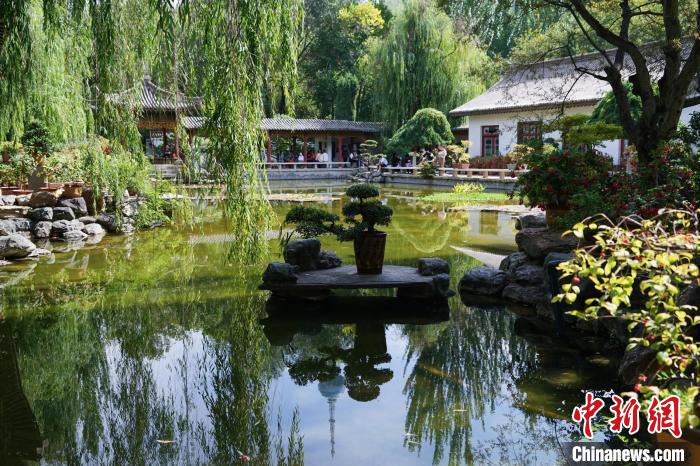 圖為西寧園林植物園秋日風(fēng)景別有韻味。　馬銘言 攝