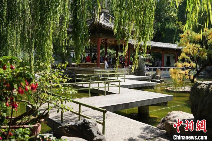 圖為西寧園林植物園秋日風(fēng)景別有韻味?！●R銘言 攝