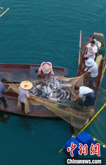 捕魚現(xiàn)場?！≈鬓k方供圖