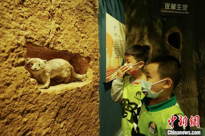 圖為小朋友在青海西寧湟水國家濕地公園科普館內參觀學習?！●R銘言 攝