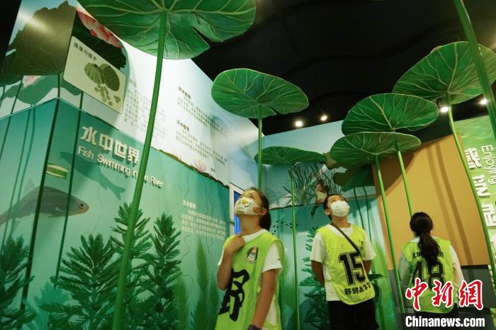 圖為小朋友在青海西寧湟水國家濕地公園科普館內參觀學習?！●R銘言 攝