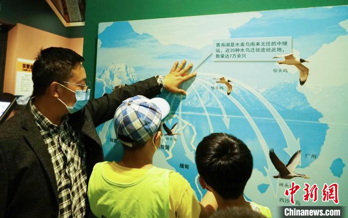 圖為小朋友在青海西寧湟水國家濕地公園科普館內參觀學習?！●R銘言 攝