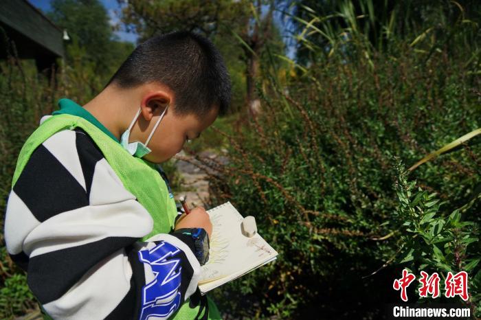 圖為小朋友在青海西寧湟水國家濕地公園內認識植物并進行繪畫?！●R銘言 攝
